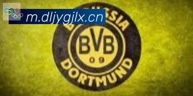 开云kaiyun入口合作伙伴