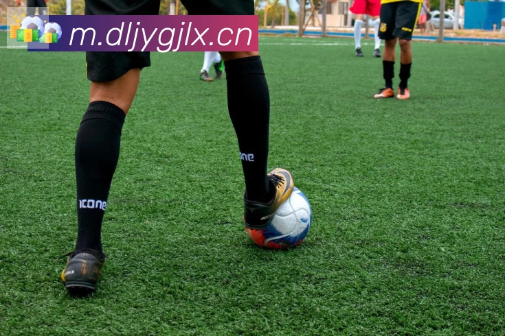 开云kaiyun入口全站App